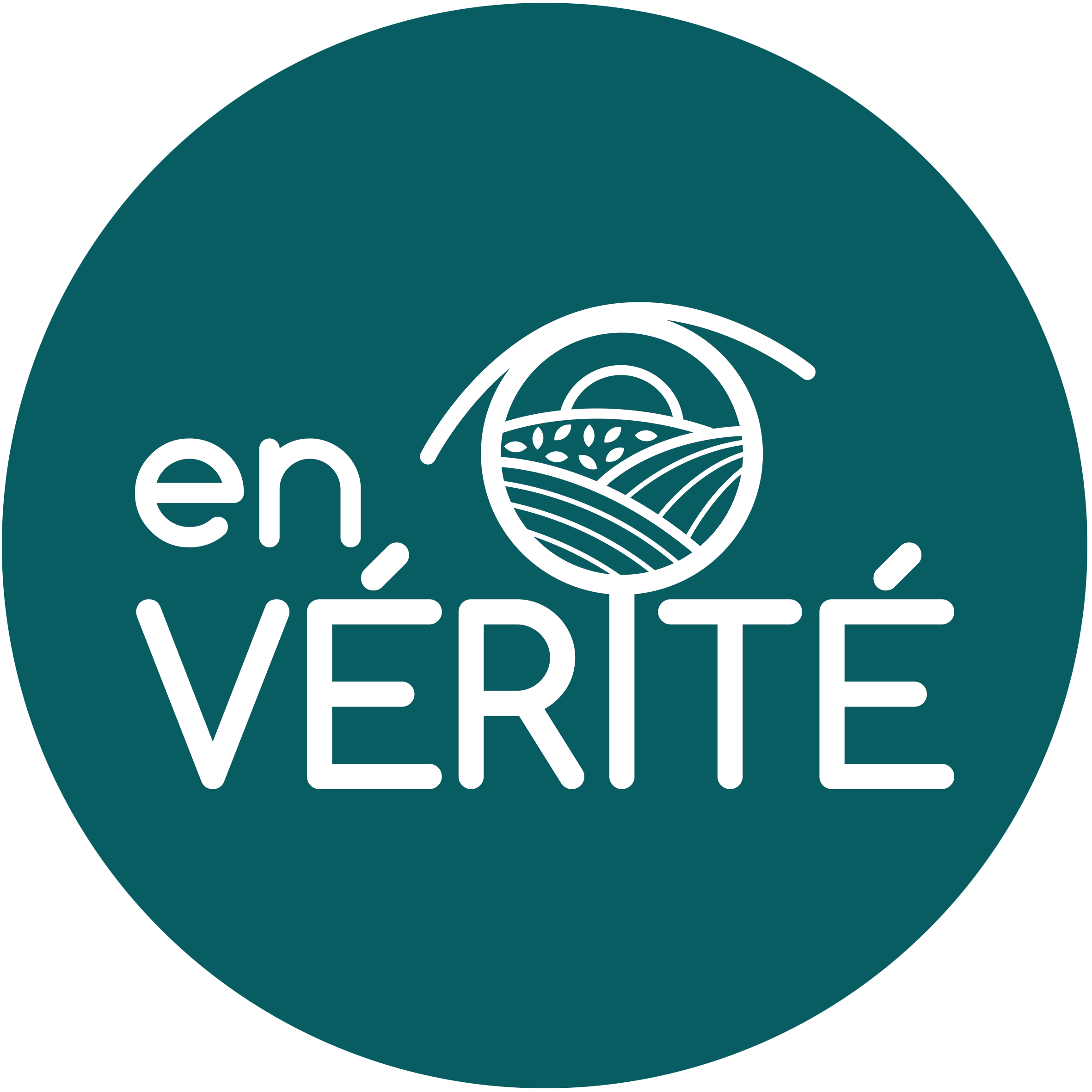 Collectif En vérité